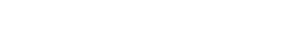 Southern Tire Mart