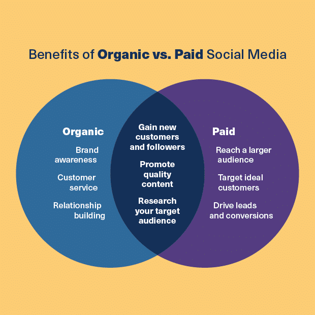 LimeLight Marketing - How to Budget, Organic vs Paid Social