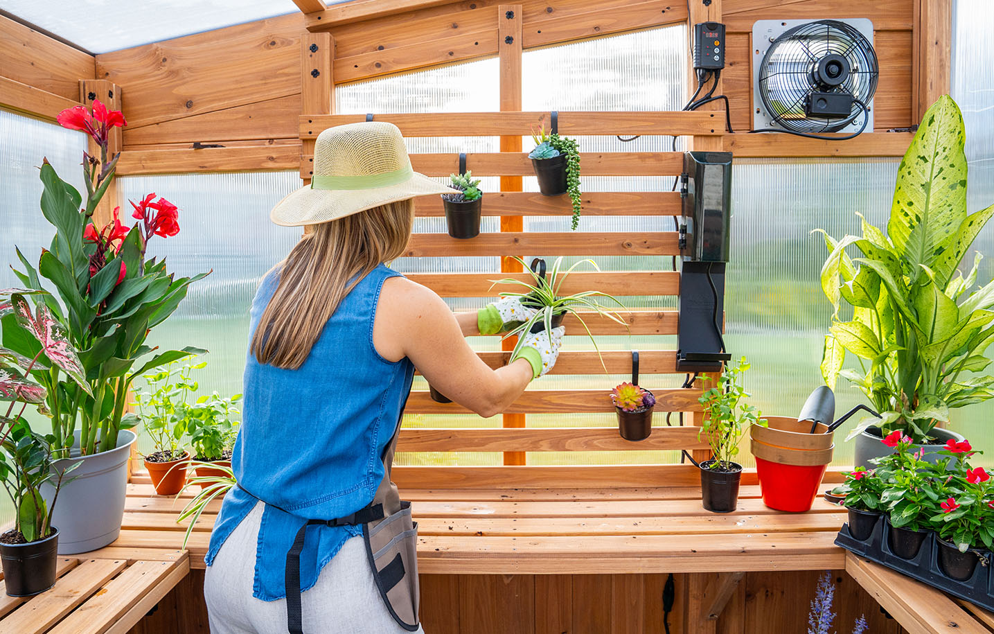 greenhouse photography