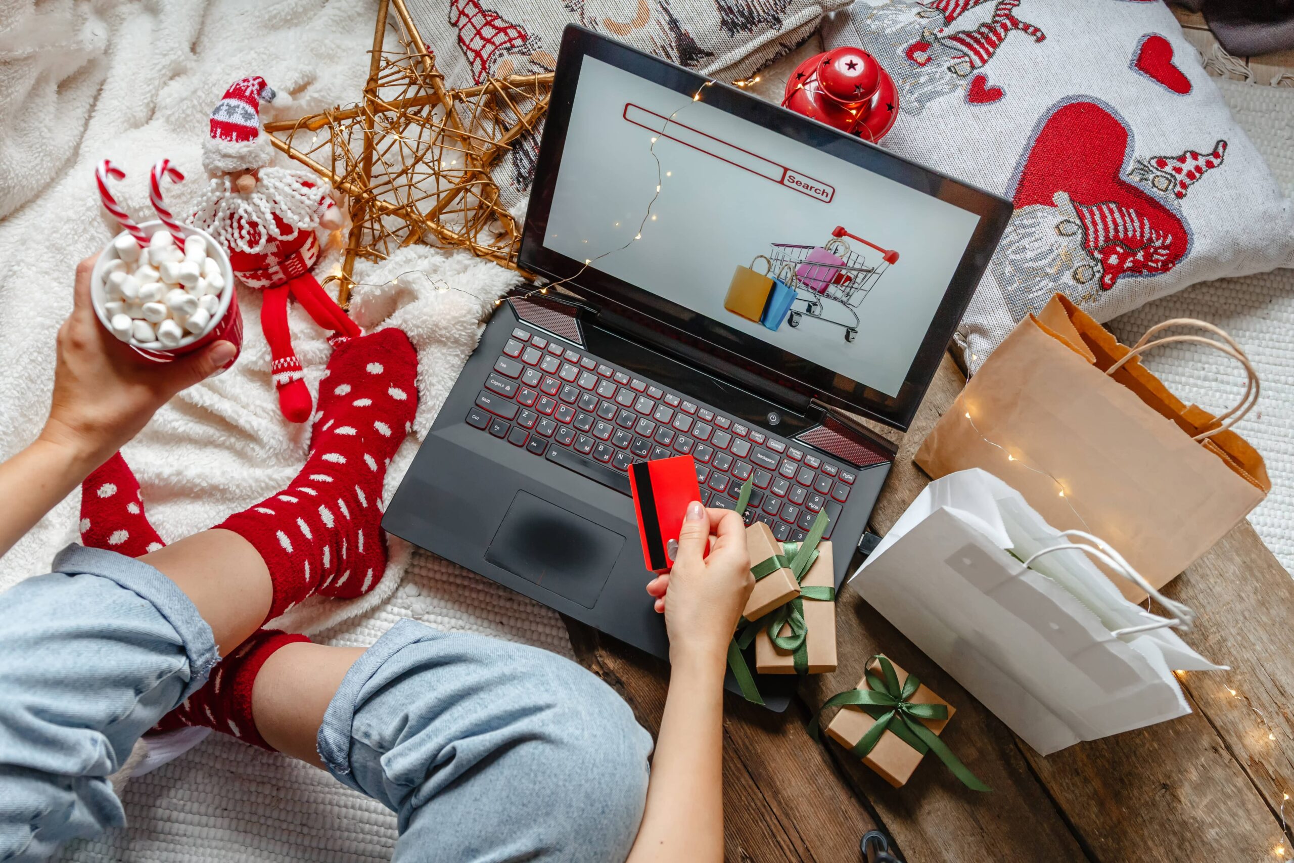Expectations of 2024 Holiday Shopping