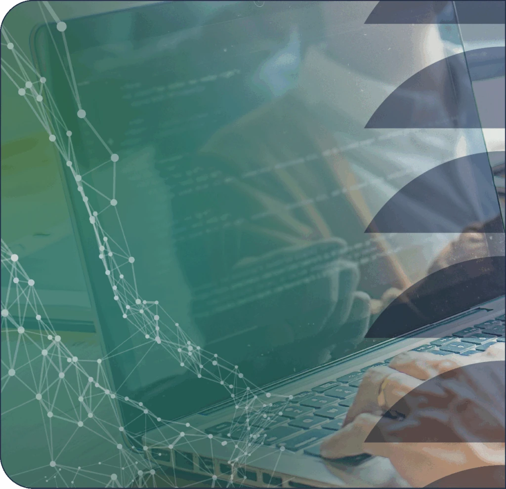 Custom Development for Ecommerce